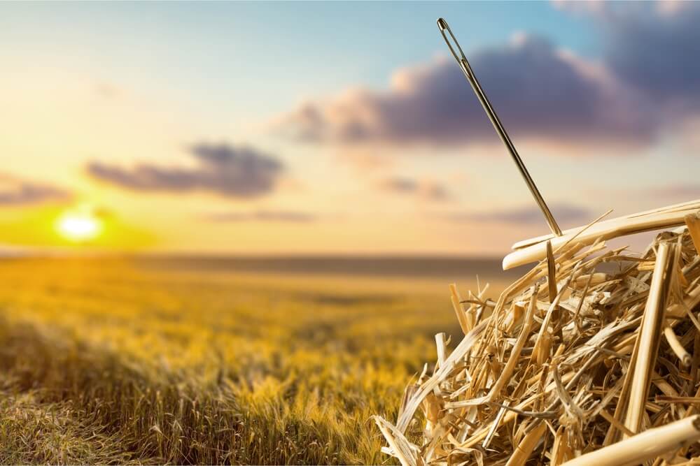 Finding the needle in the haystack